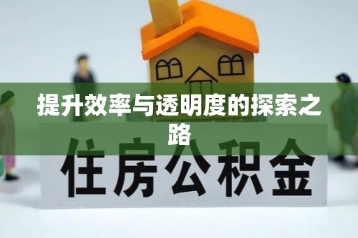 前镇提升效率与透明度的探索之路
