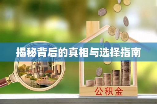 前镇揭秘背后的真相与选择指南