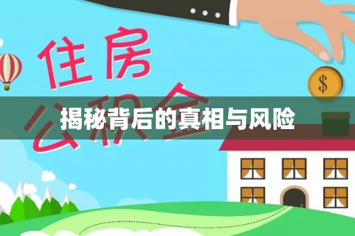 前镇揭秘背后的真相与风险