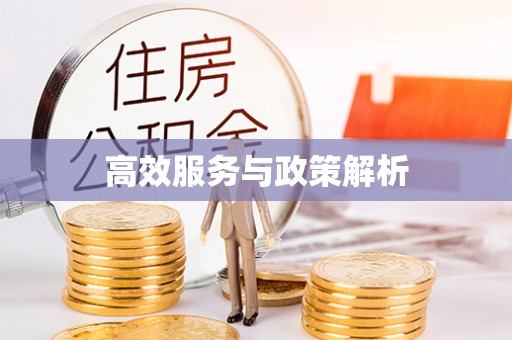 前镇高效服务与政策解析