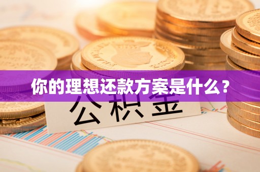 前镇你的理想还款方案是什么？