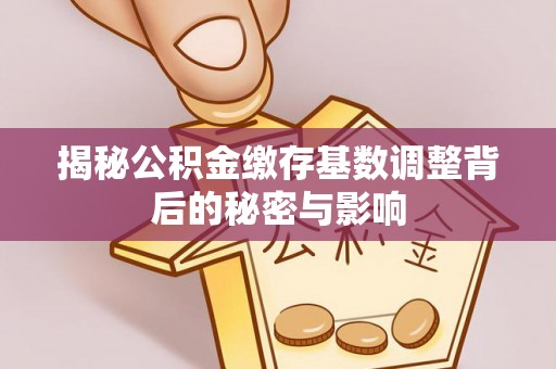 前镇揭秘公积金缴存基数调整背后的秘密与影响