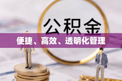前镇便捷、高效、透明化管理