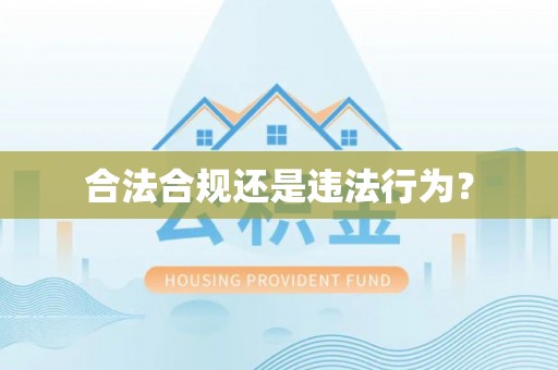 前镇合法合规还是违法行为？
