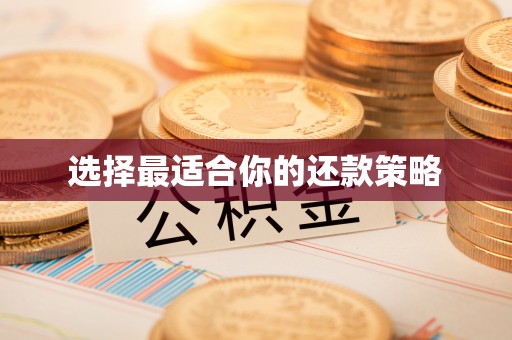 前镇选择最适合你的还款策略